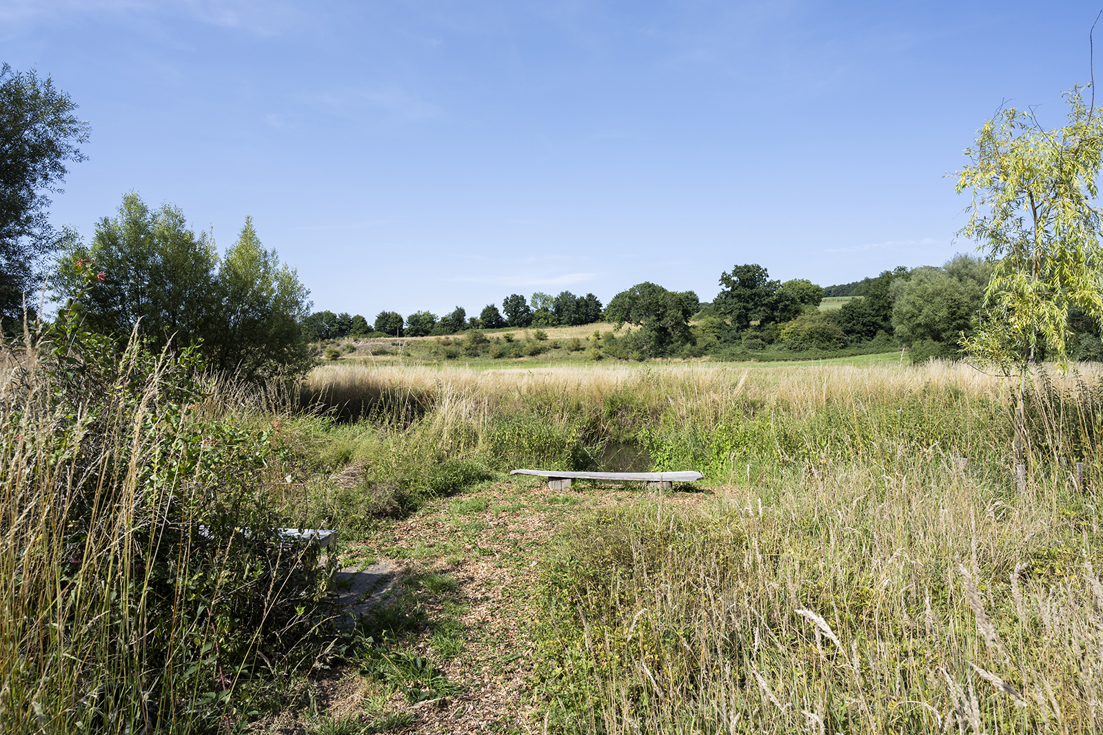 Zuid-Limburgs heuvelland bij De Smockelaer