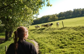 Beleefbos Eperheide 