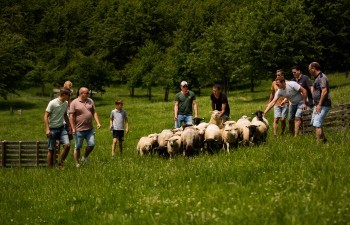Wandelaars in het Heuvelland