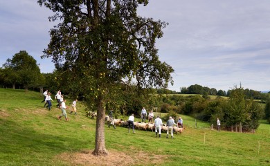 img-23