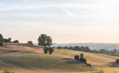 img-21