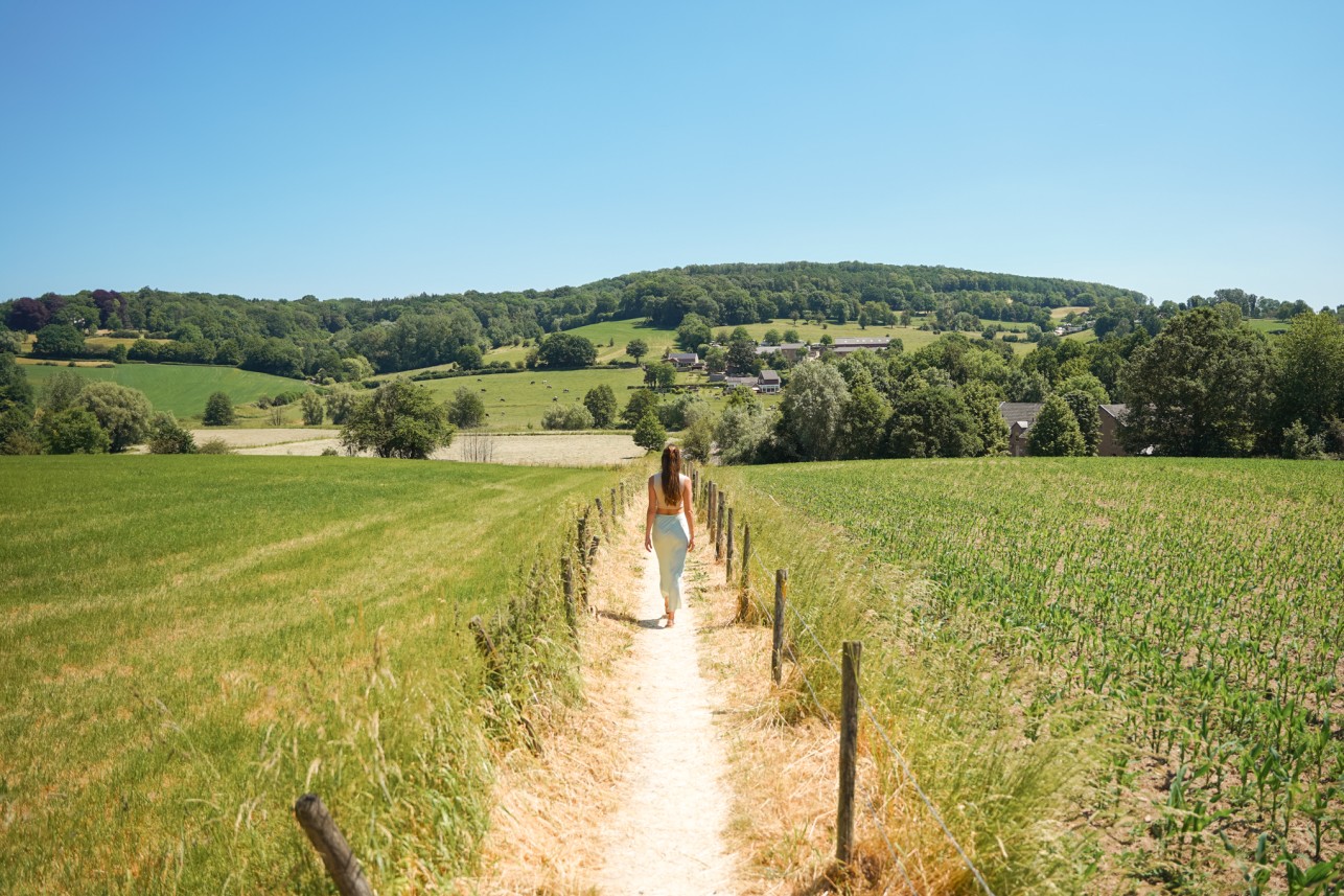 header_banner_image