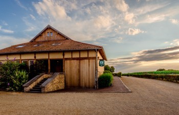 Groene heuvels als rustige omgeving voor reflectie tijdens een offsite meeting