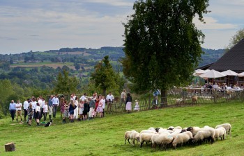 Offsite vergaderruimte met hoge houten kap en natuurlijke lichtinval voor focus en creativiteit