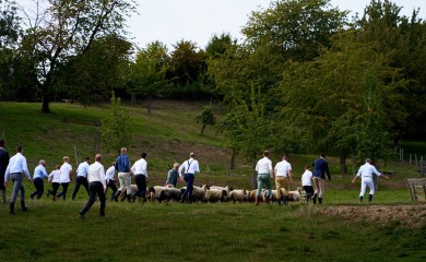 img-20